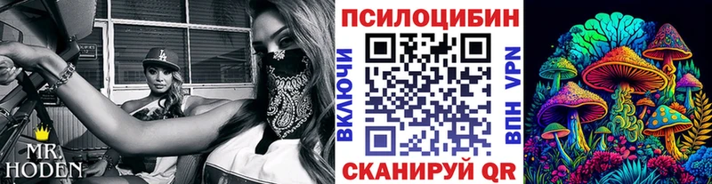 Псилоцибиновые грибы прущие грибы  купить закладку  Нелидово 