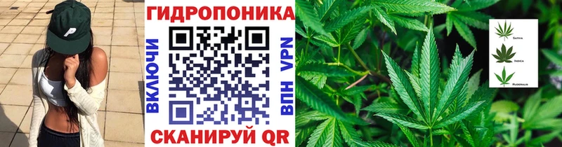 Бошки марихуана Bruce Banner  купить закладку  KRAKEN   Нелидово 